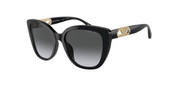 EA 4214U Emporio Armani Sunglasses