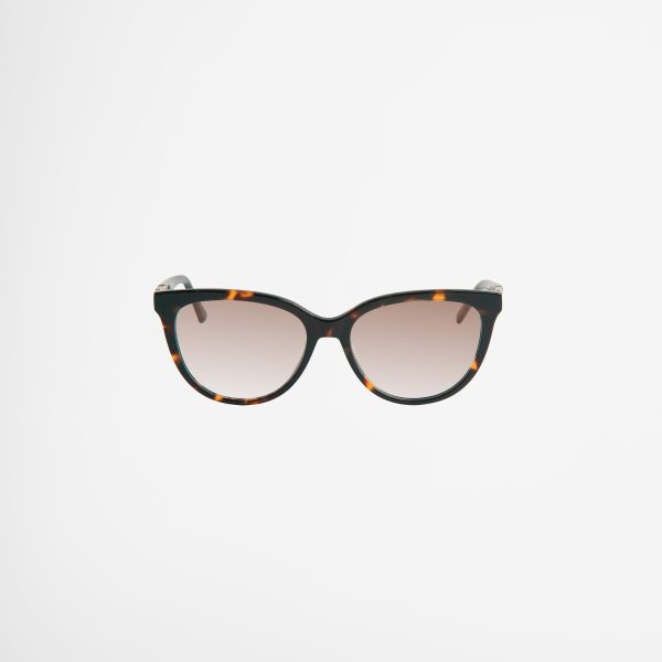Classic Acetate Frame Sunglasses